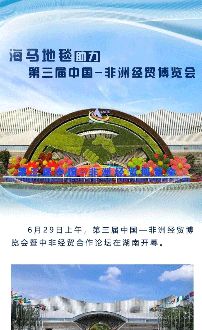 【海馬地毯工程案例】海馬地毯助力-第三屆中國-非洲經(jīng)貿(mào)博覽會(huì)_01.gif