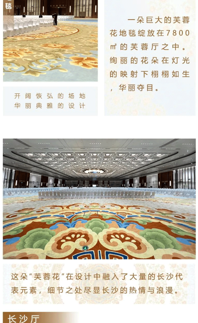 【海馬地毯工程案例】海馬地毯助力-第三屆中國-非洲經(jīng)貿(mào)博覽會(huì)_04.gif