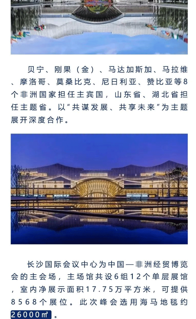 【海馬地毯工程案例】海馬地毯助力-第三屆中國-非洲經(jīng)貿(mào)博覽會(huì)_02.gif