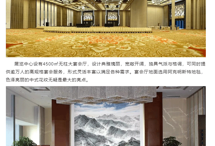 【海馬地毯工程案例】珠海國際會展中心_04.gif