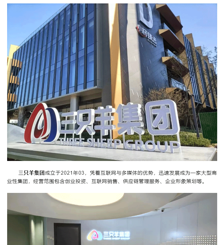 合肥市三只羊集團(tuán)總部地毯_01.gif