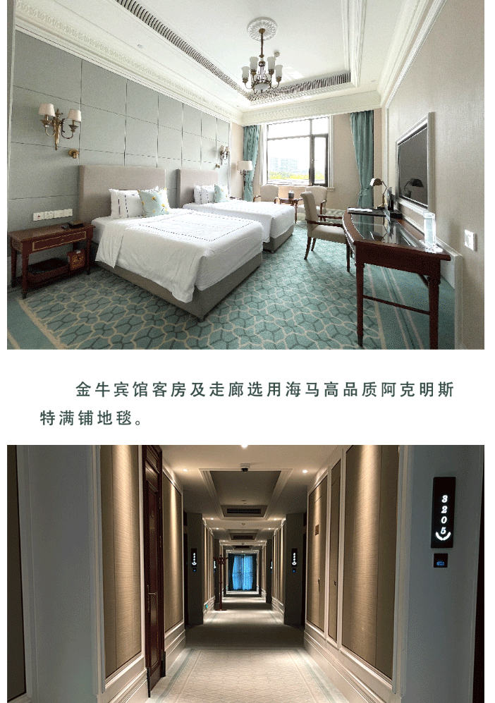 海馬地毯助力-第31屆世界大學(xué)生夏季運(yùn)動(dòng)會(huì)-31st-Summer-Universiade_06.gif